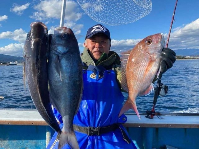 マダイ・メダイ