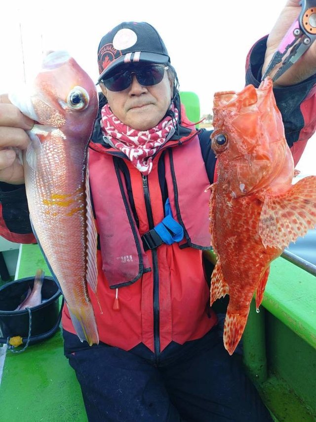 アマダイ(アカアマダイ)・オニカサゴ