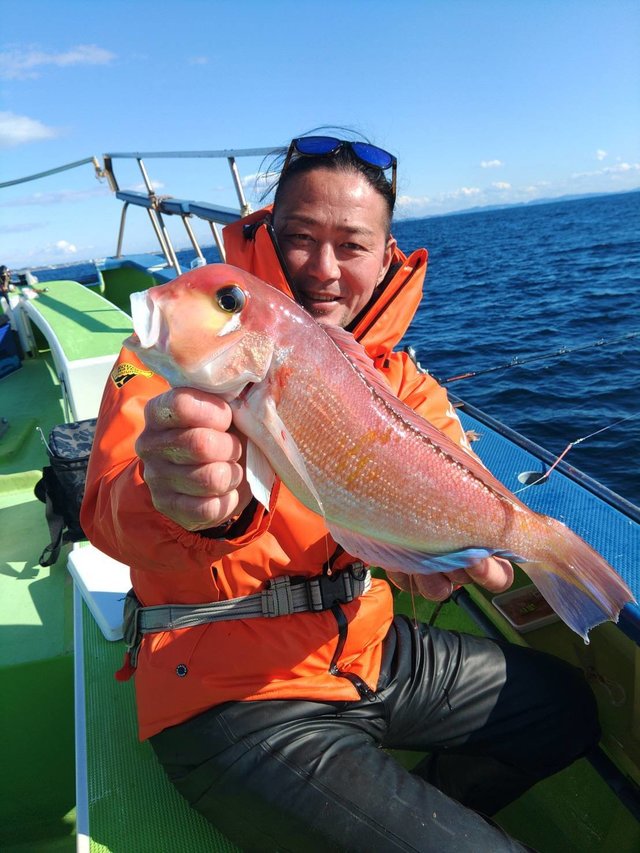 アマダイ(アカアマダイ)