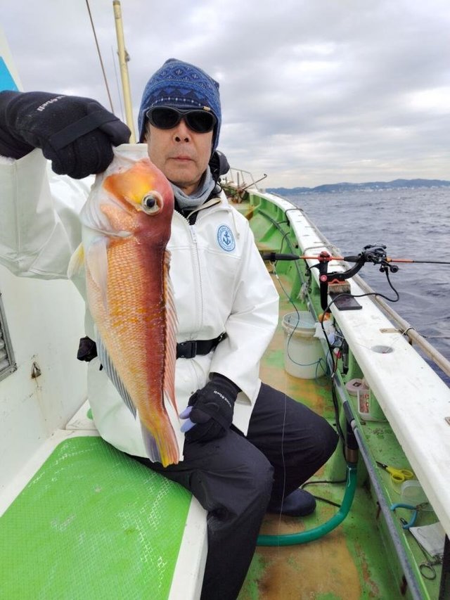 アマダイ(アカアマダイ)