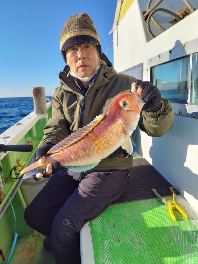 アマダイ(アカアマダイ)