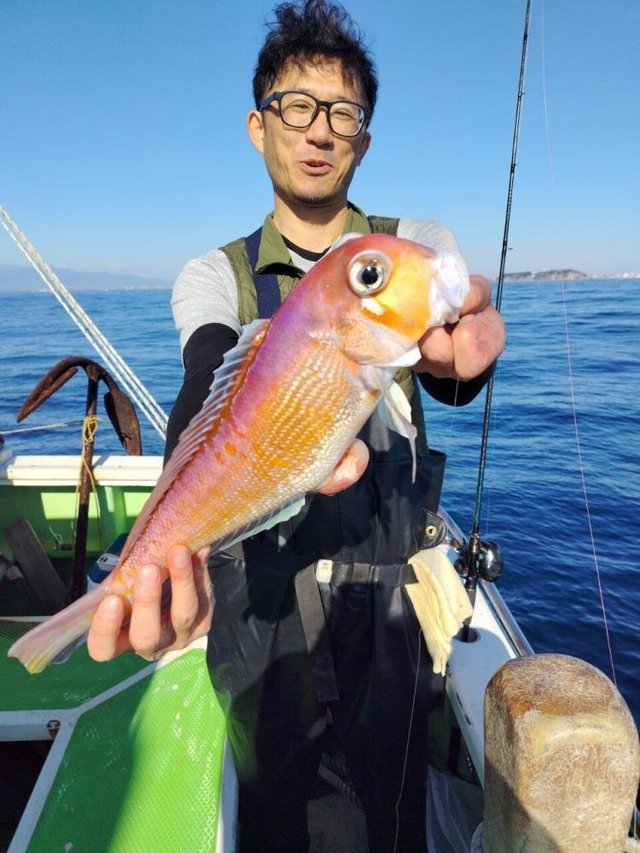 アマダイ(アカアマダイ)