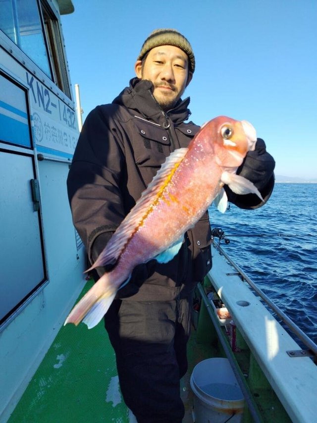 アマダイ(アカアマダイ)