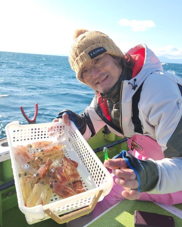 マルイカ(ケンサキイカ)