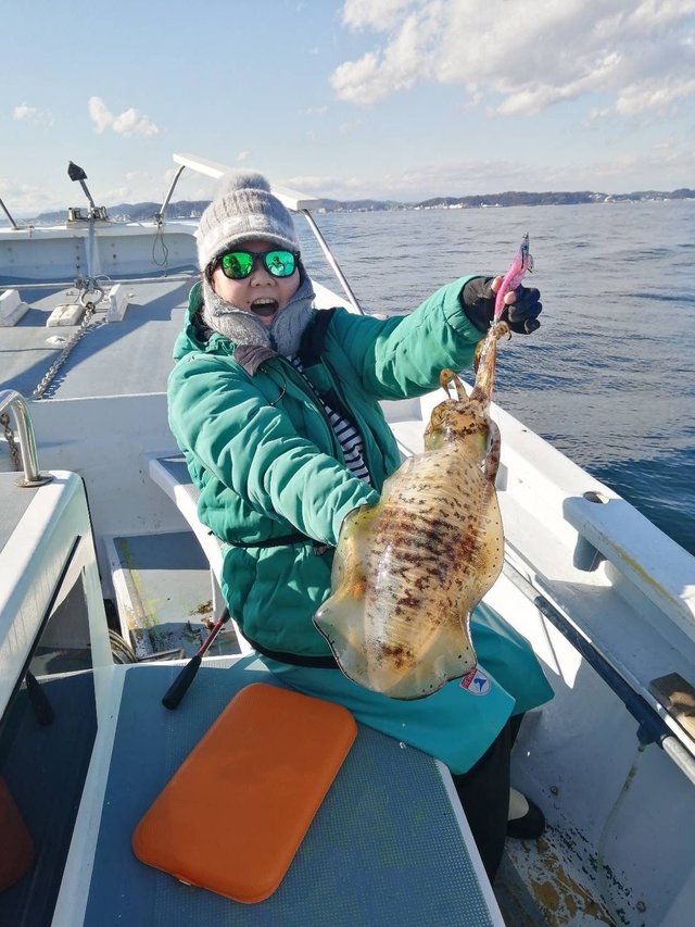 イカ(アオリイカ)