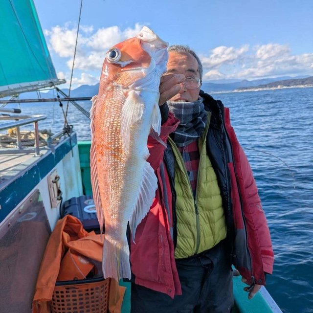 アマダイ(アカアマダイ)