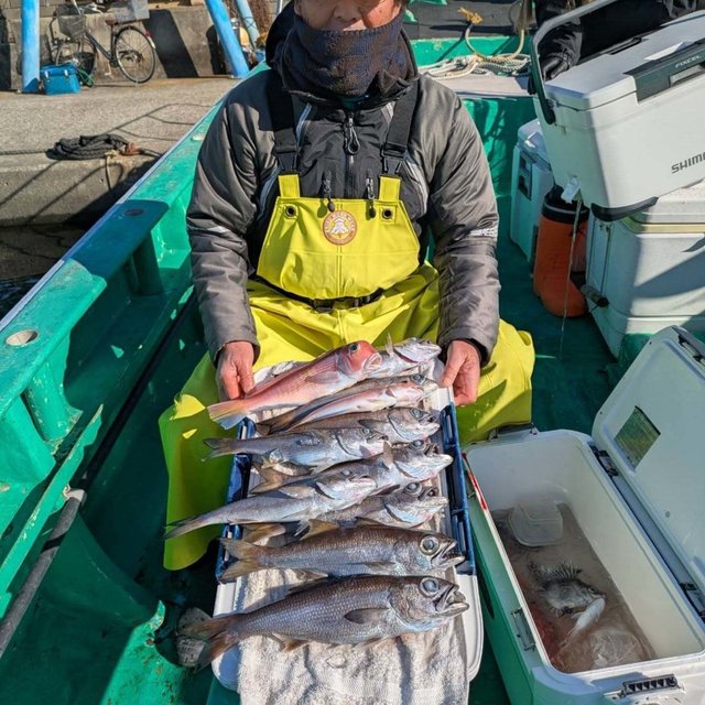 アマダイ(アカアマダイ)・シロムツ(オオメハタ)・ツボダイ