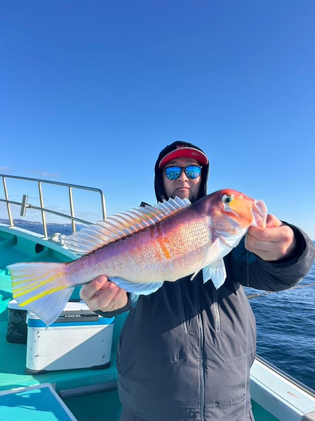 アマダイ(アカアマダイ)