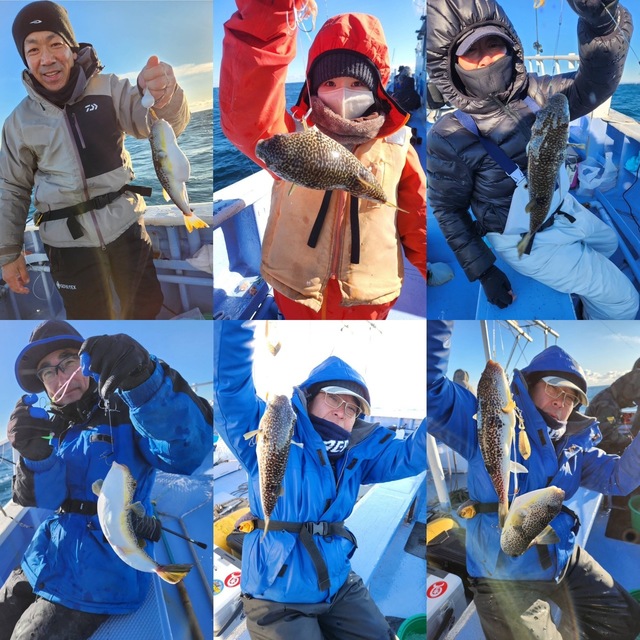 ショウサイフグ