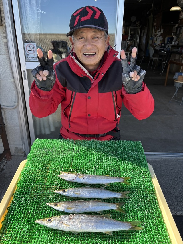 カマス(アカカマス)