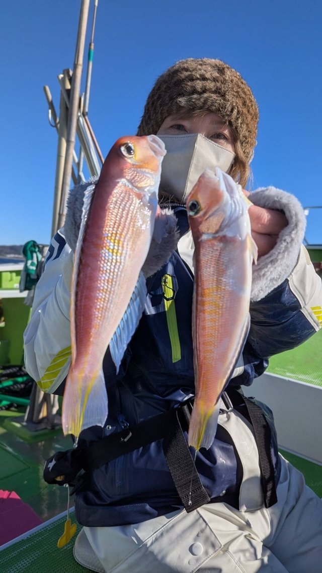 アマダイ(アカアマダイ)