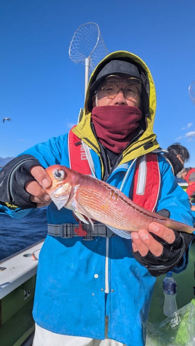 アマダイ(アカアマダイ)