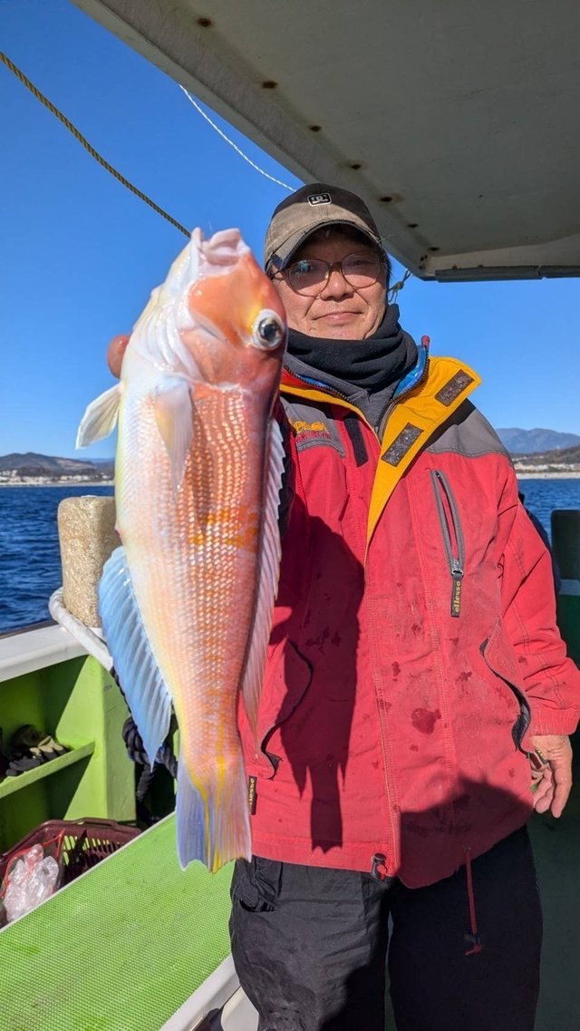 アマダイ(アカアマダイ)