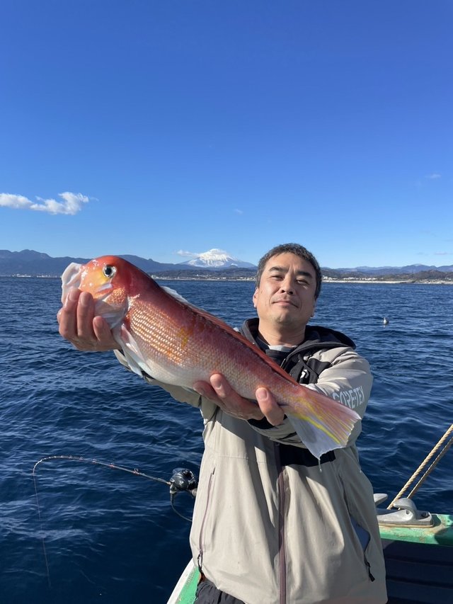 アマダイ(アカアマダイ)