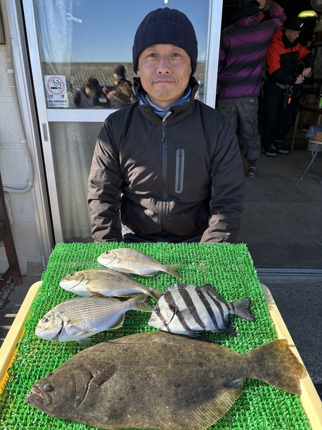 ヘダイ・イシダイ・ヒラメ