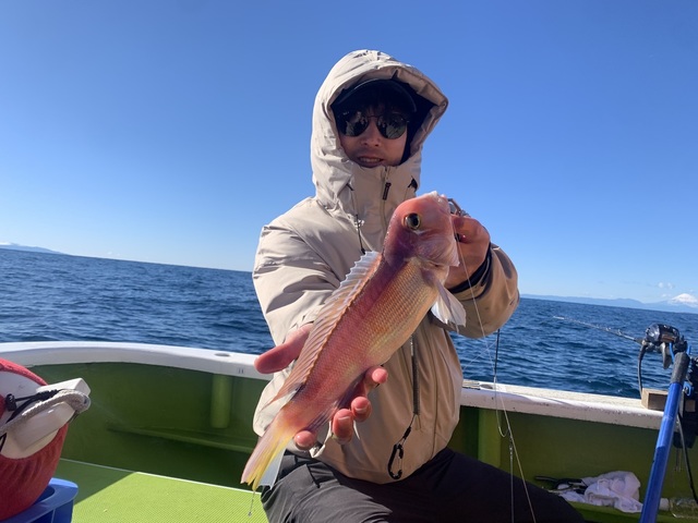 アマダイ(アカアマダイ)