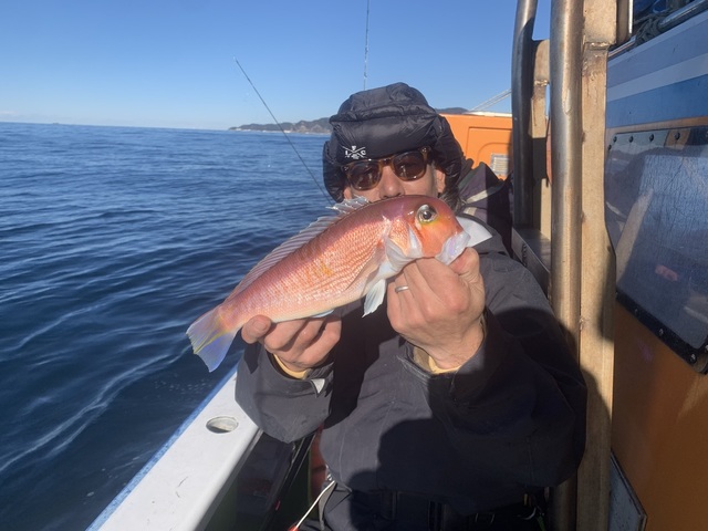 アマダイ(アカアマダイ)