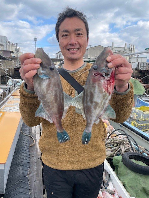 ウマヅラ(ウマヅラハギ)