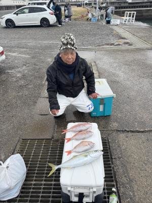 マダイ・ハマチ(ブリ)