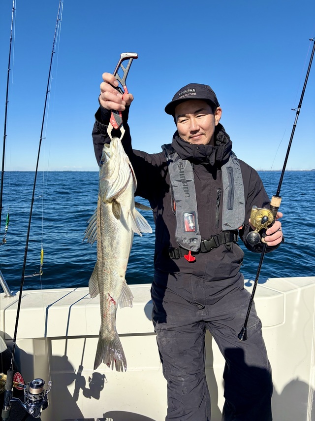 シーバス(スズキ)