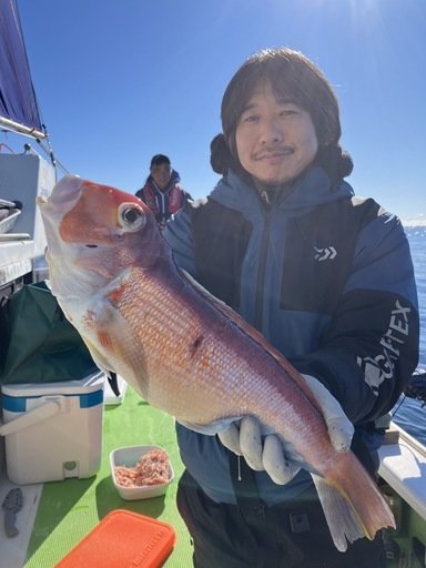 アマダイ(アカアマダイ)