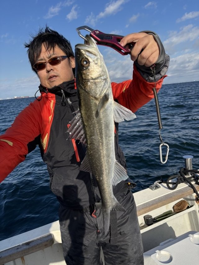 シーバス(スズキ)