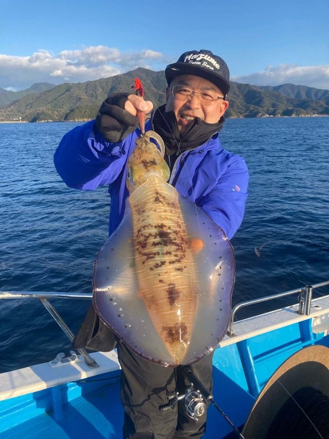 アオリ(アオリイカ)