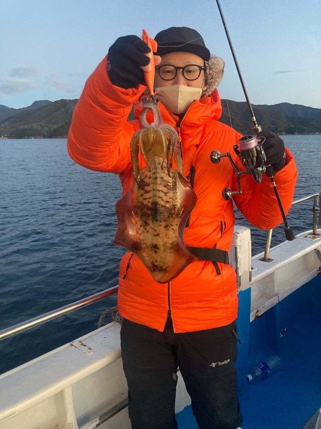 アオリ(アオリイカ)