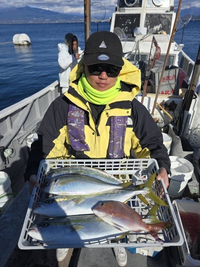 マダイ・イナダ(ブリ)