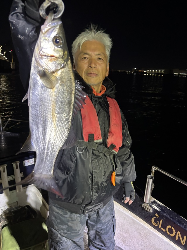 シーバス(スズキ)