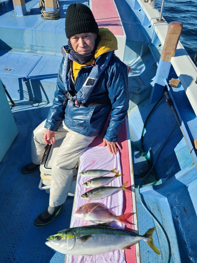 マダイ・ワラサ(ブリ)