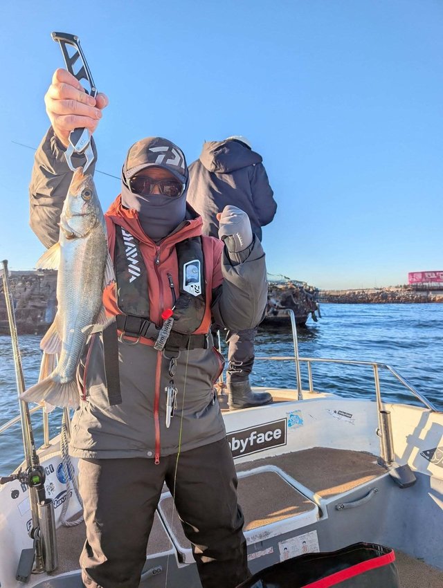 シーバス(スズキ)