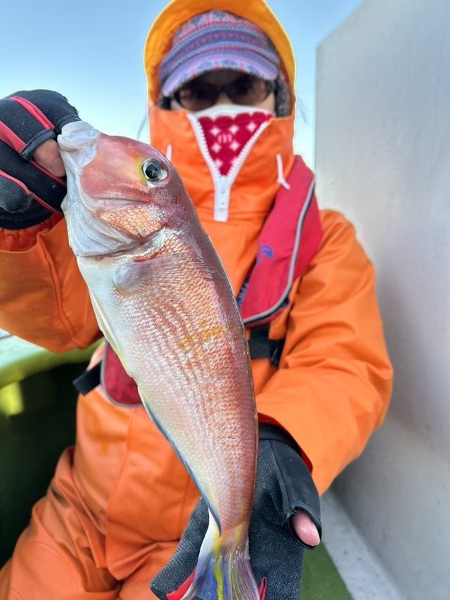 アマダイ(アカアマダイ)