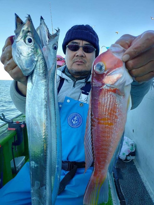 アマダイ(アカアマダイ)・タチウオ