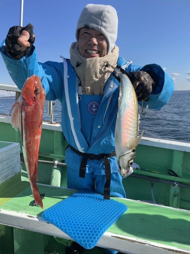 アジ(マアジ)・ホウボウ