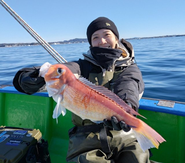 アマイオ(ダイミョウサギ)