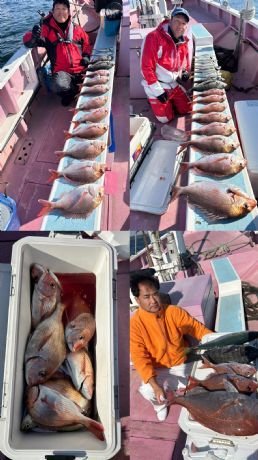 マダイ・クロダイ・アジ(マアジ)