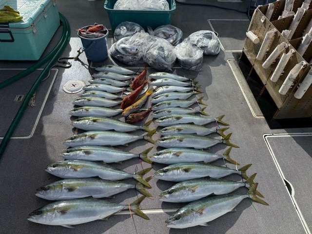 ハマチ(ブリ)・ホウボウ