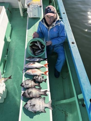 マダイ・イシダイ・イサキ