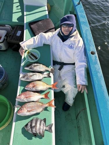 マダイ・クロダイ・イシダイ・イサキ
