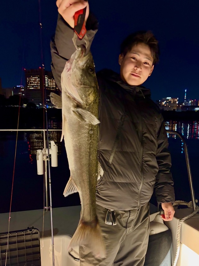 シーバス(スズキ)