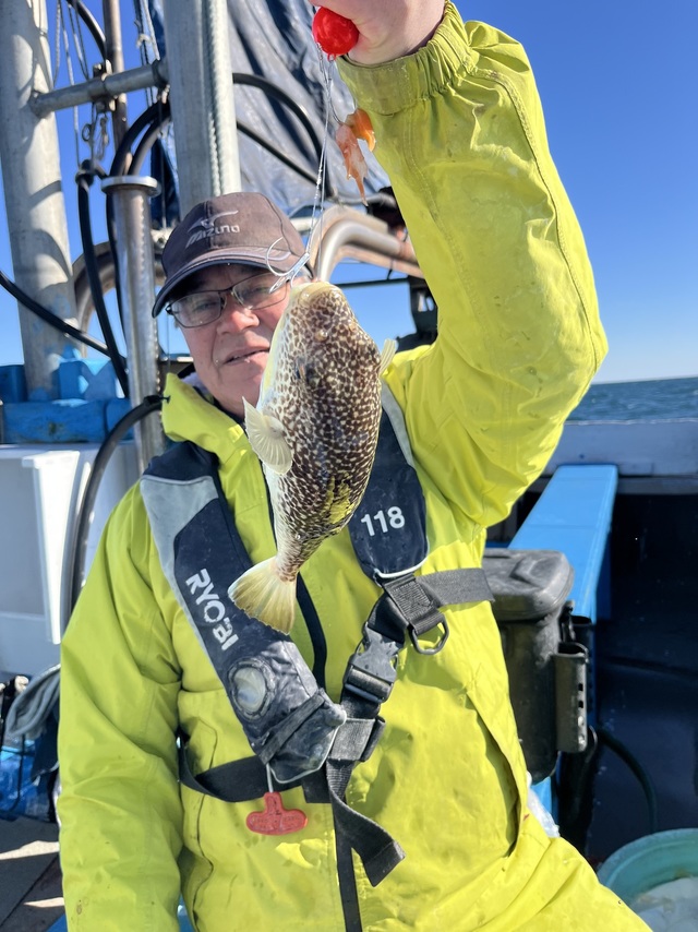 フグ(ショウサイフグ)