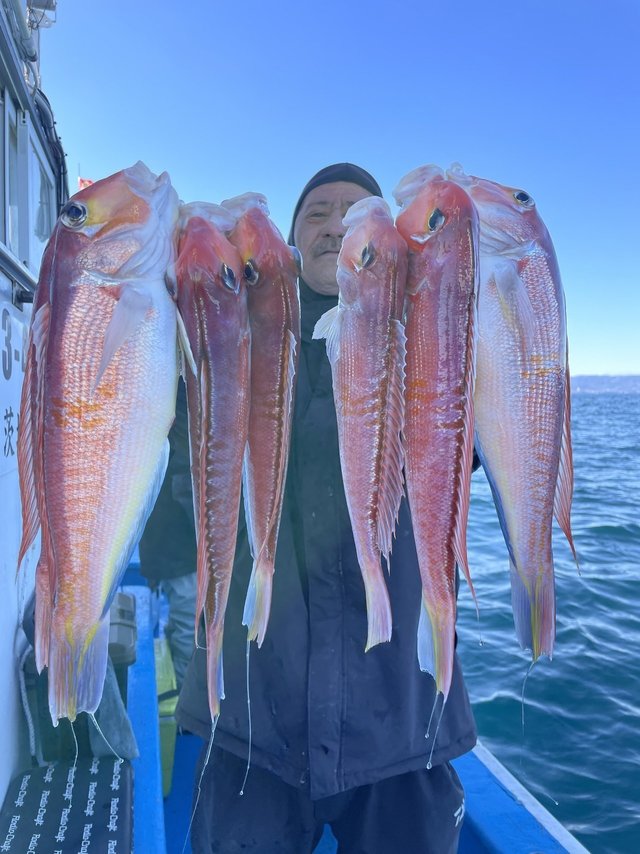 アマダイ(アカアマダイ)