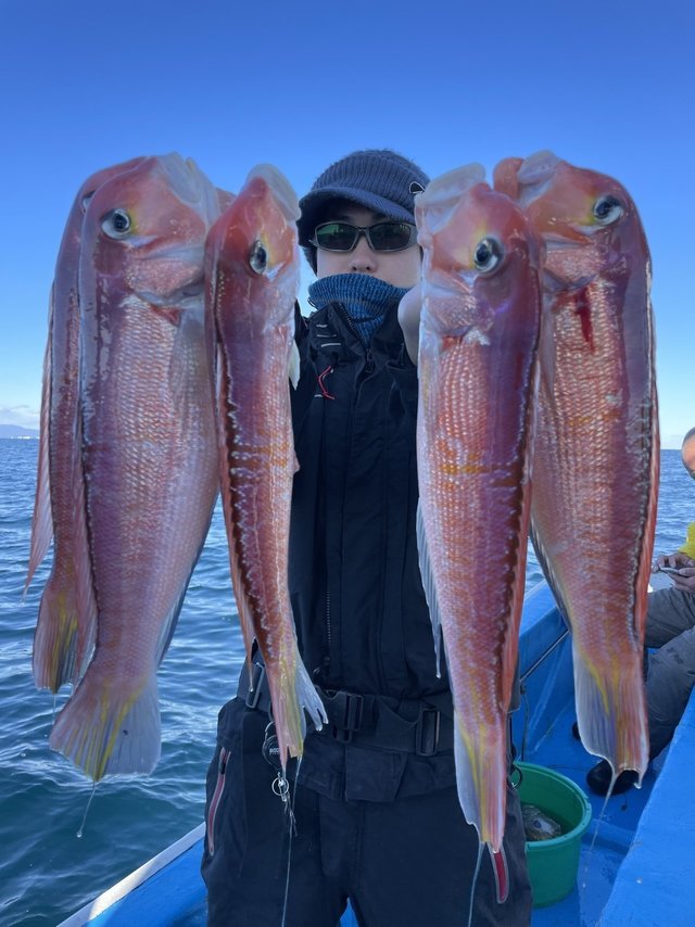 アマダイ(アカアマダイ)