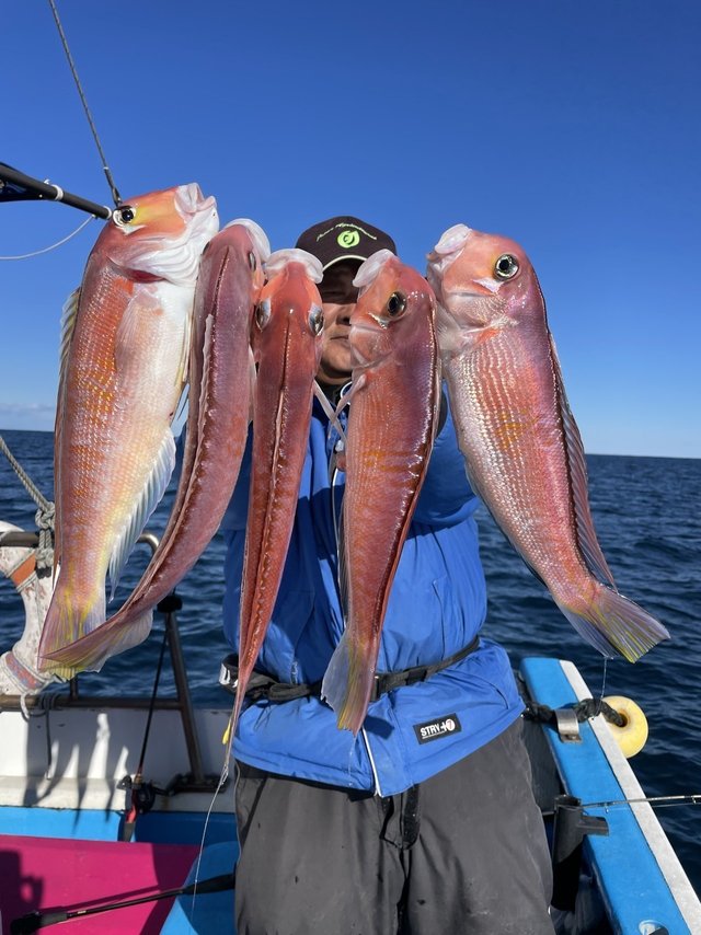 アマダイ(アカアマダイ)