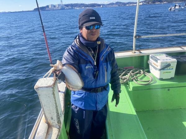 モンゴウイカ(カミナリイカ)