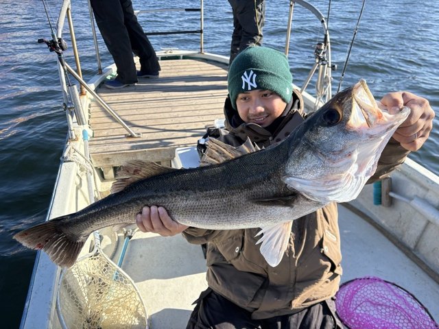 シーバス(スズキ)