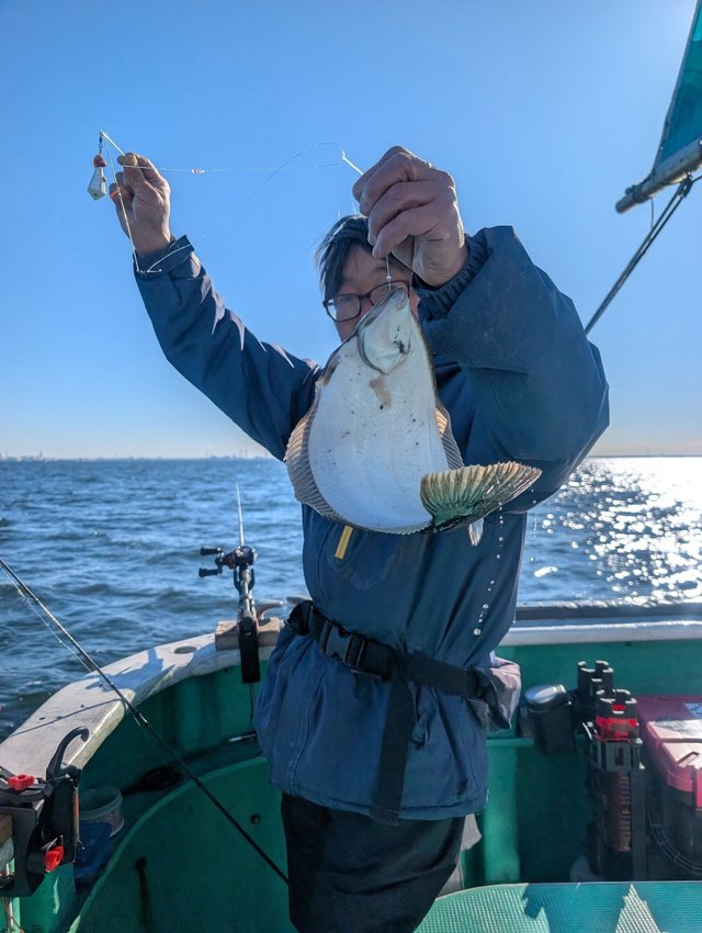 カレイ(マコガレイ)