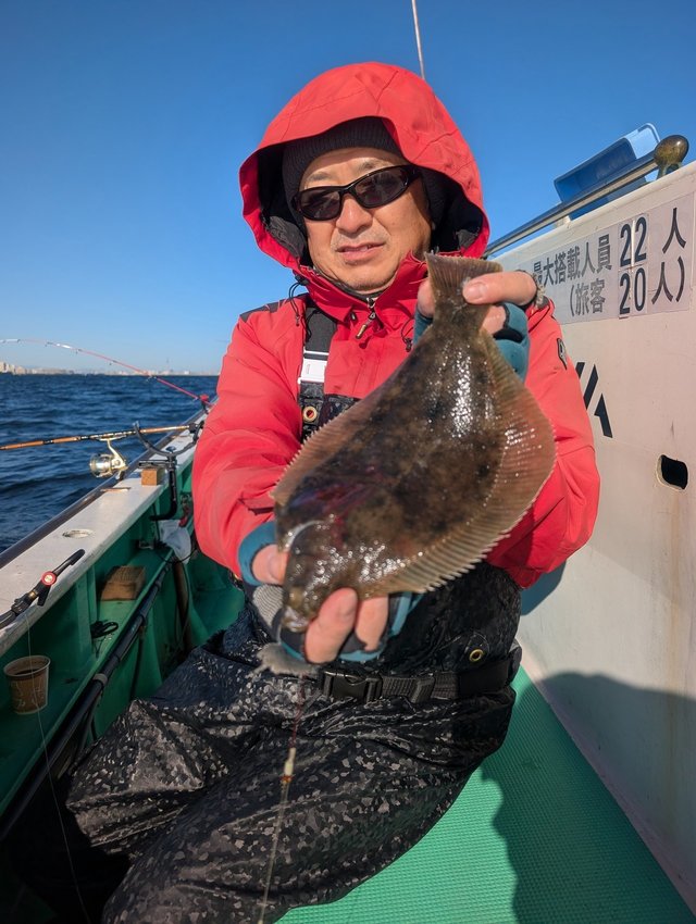 カレイ(マコガレイ)