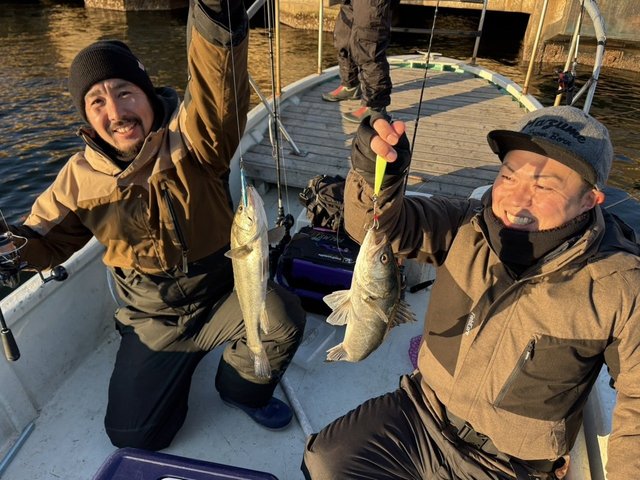 シーバス(スズキ)